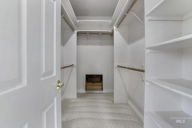 816 River View Dr, Twin Falls, ID 83301 - view of spacious closet