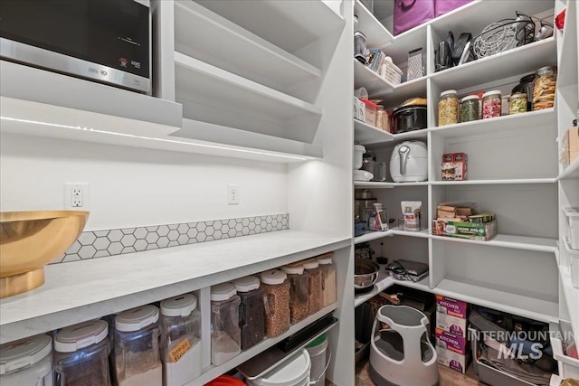 492 Applecreek St, Middleton, ID 83644 - view of storage area