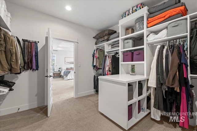 492 Applecreek St, Middleton, ID 83644 - spacious closet with light colored carpet