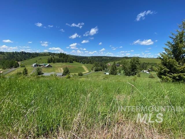LOT25 Shenandoah, Kamiah, ID 83536