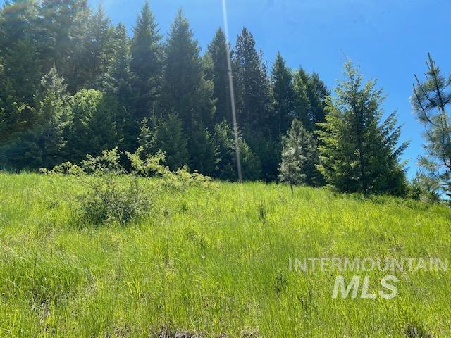 LOT25 Shenandoah, Kamiah, ID 83536