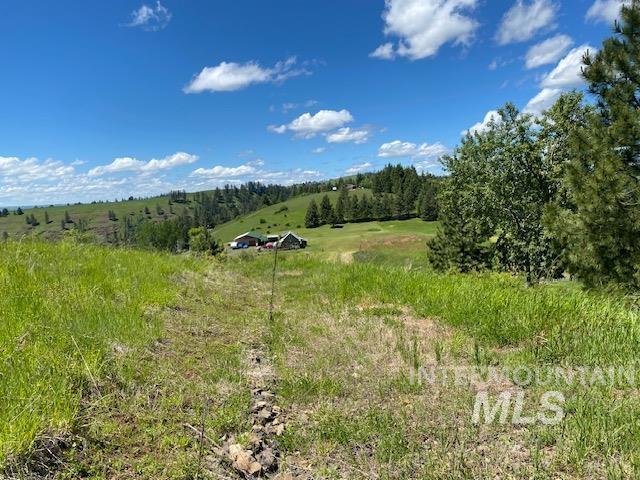 LOT25 Shenandoah, Kamiah, ID 83536