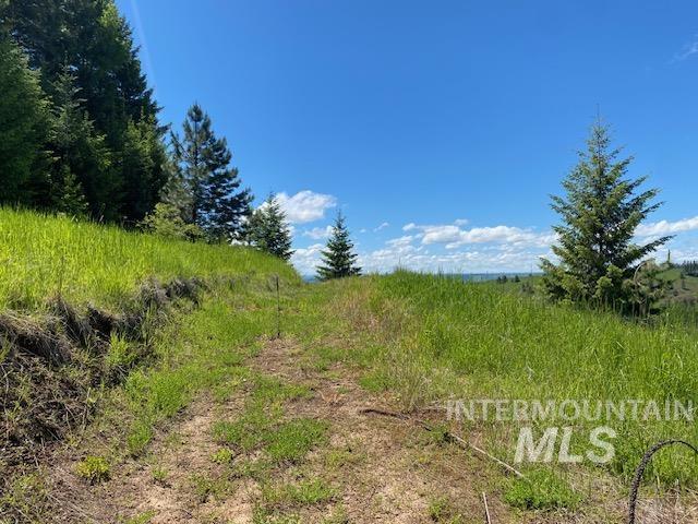 LOT25 Shenandoah, Kamiah, ID 83536