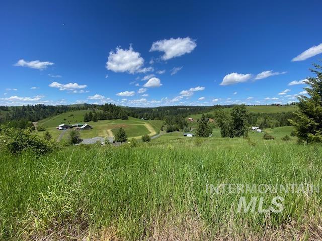 LOT25 Shenandoah, Kamiah, ID 83536