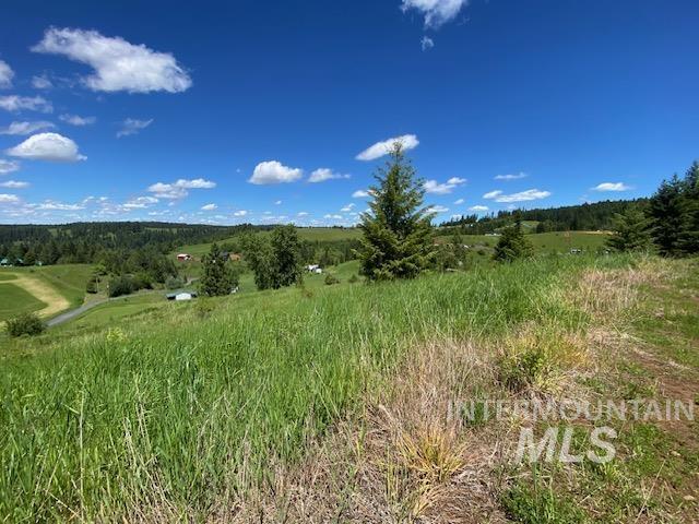 LOT25 Shenandoah, Kamiah, ID 83536