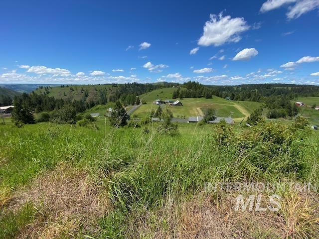 LOT25 Shenandoah, Kamiah, ID 83536