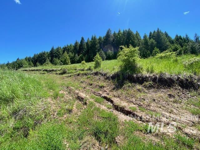LOT25 Shenandoah, Kamiah, ID 83536