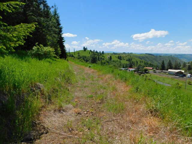 LOT25 Shenandoah, Kamiah, ID 83536