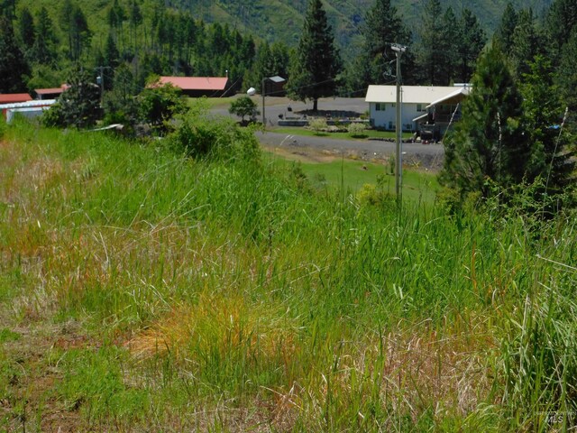 LOT25 Shenandoah, Kamiah, ID 83536