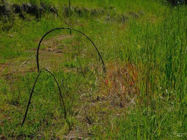 LOT25 Shenandoah, Kamiah, ID 83536