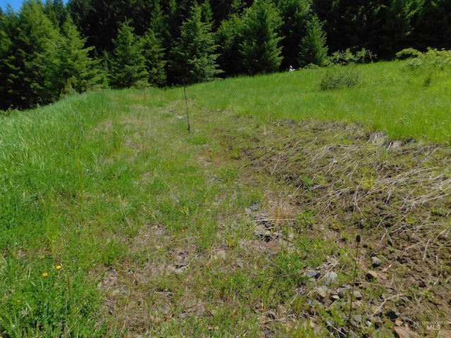 LOT25 Shenandoah, Kamiah, ID 83536