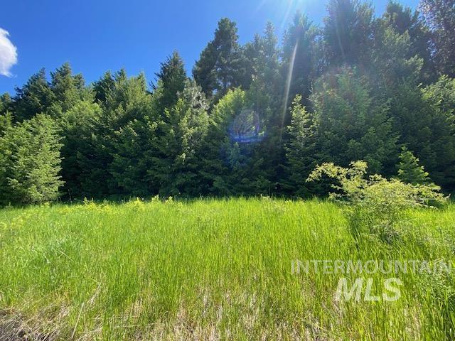 LOT25 Shenandoah, Kamiah, ID 83536