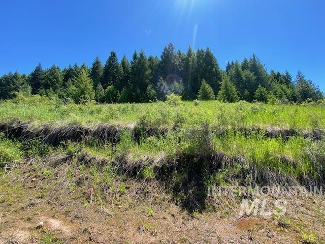 LOT25 Shenandoah, Kamiah, ID 83536