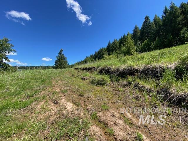LOT25 Shenandoah, Kamiah, ID 83536