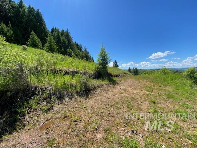 LOT25 Shenandoah, Kamiah, ID 83536