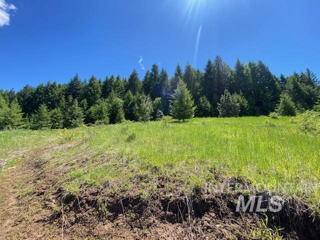 LOT25 Shenandoah, Kamiah, ID 83536