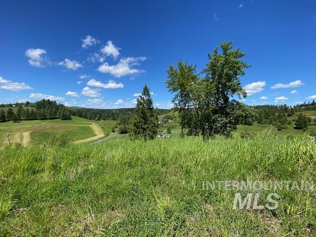 LOT25 Shenandoah, Kamiah, ID 83536