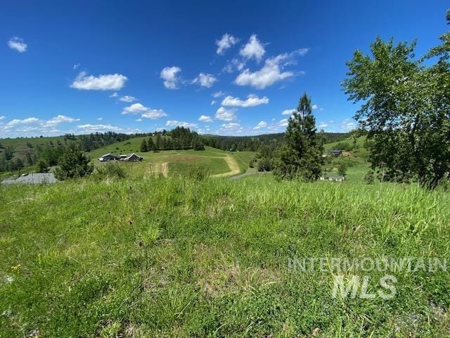 LOT25 Shenandoah, Kamiah, ID 83536