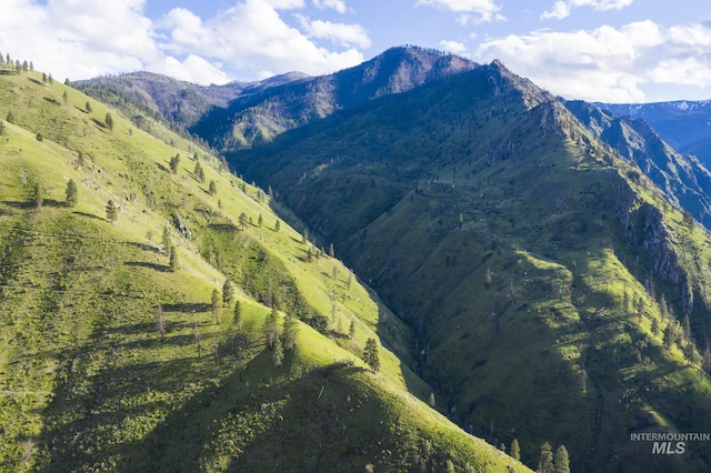 view of mountain view