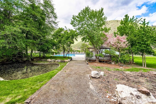 view of property's community featuring a swimming pool and a yard