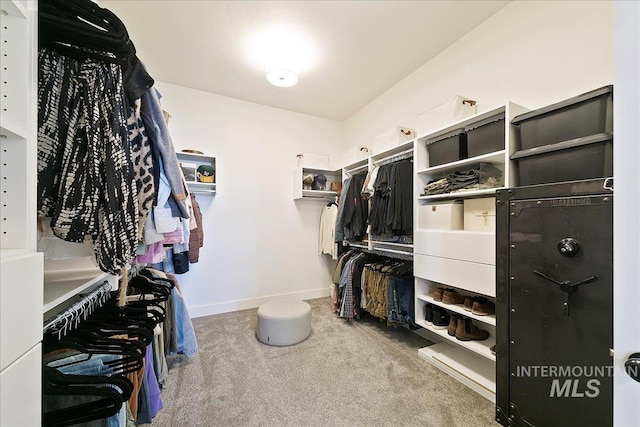 walk in closet featuring carpet floors