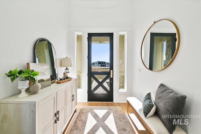 entryway featuring light wood finished floors