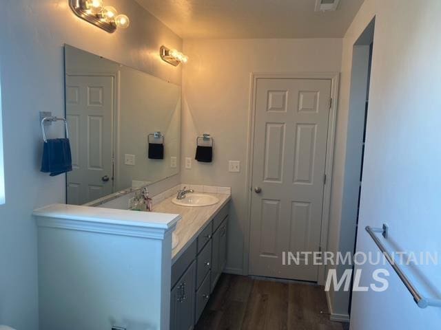 bathroom with wood-type flooring and vanity