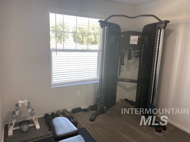 workout area featuring carpet