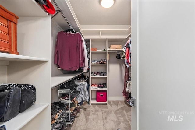 walk in closet featuring light carpet