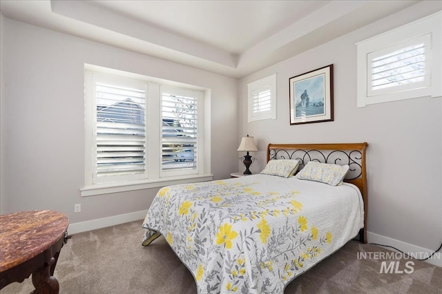 bedroom with carpet flooring and a tray ceiling