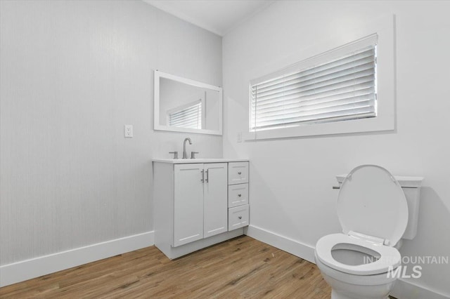 4320 N Locust Grv, Meridian, ID 83642 - bathroom featuring toilet, baseboards, wood finished floors, and vanity