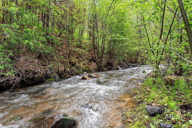 view of local wilderness