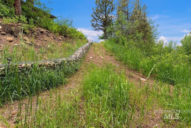 view of local wilderness