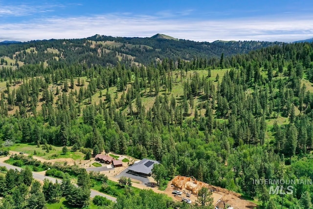 aerial view with a mountain view