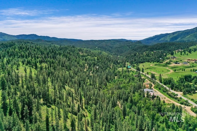 bird's eye view with a mountain view