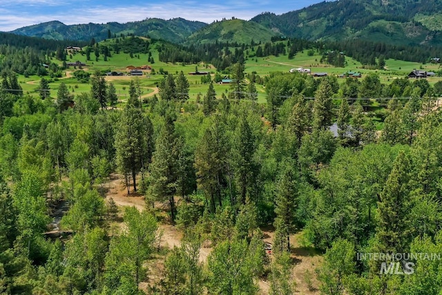 bird's eye view featuring a mountain view and a rural view