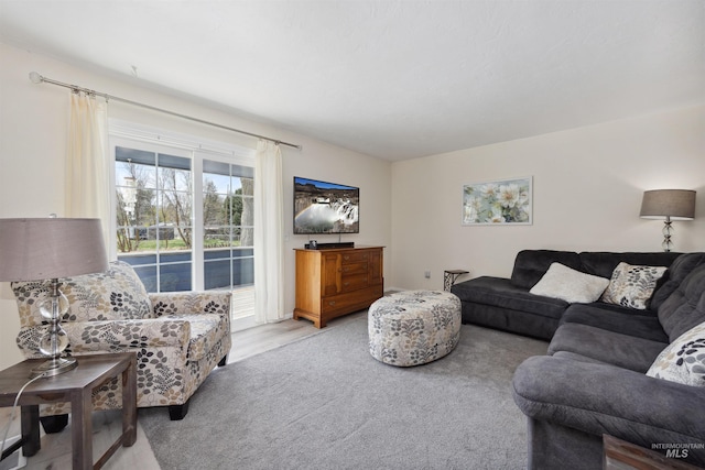 living area with carpet flooring