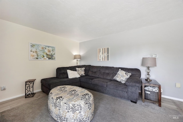 living room with baseboards and wood finished floors