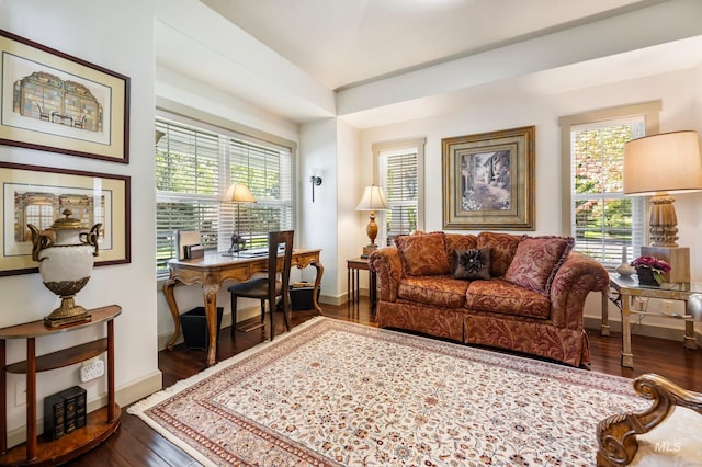 living room featuring dark hardwood / wood-style floors