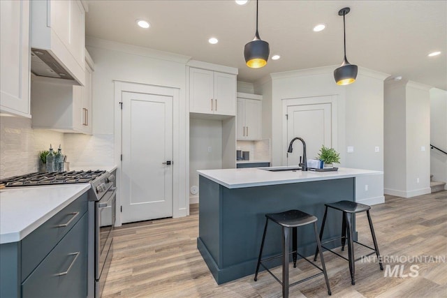375 N Sauer River Ln, Eagle, ID 83616 - kitchen featuring stainless steel gas range, a sink, ornamental molding, decorative backsplash, and light wood-type flooring