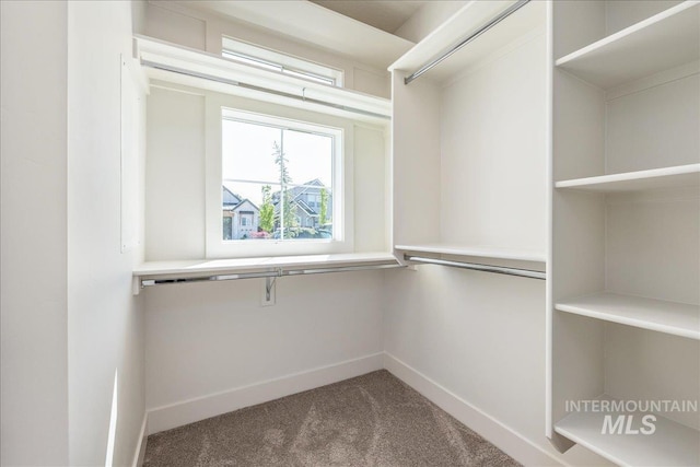 375 N Sauer River Ln, Eagle, ID 83616 - walk in closet featuring carpet