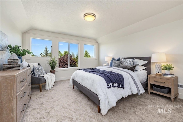 375 N Sauer River Ln, Eagle, ID 83616 - bedroom featuring lofted ceiling, light colored carpet, and baseboards