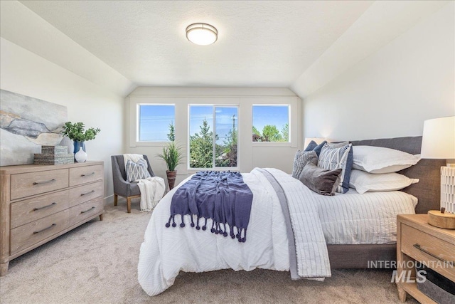 375 N Sauer River Ln, Eagle, ID 83616 - bedroom featuring vaulted ceiling and light carpet