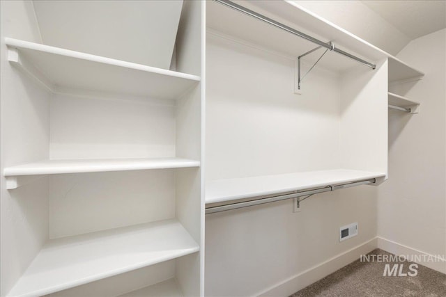 375 N Sauer River Ln, Eagle, ID 83616 - spacious closet with carpet