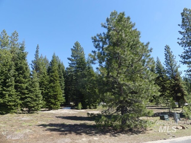 TBD Whitefield Ln, Mccall, ID 83638
