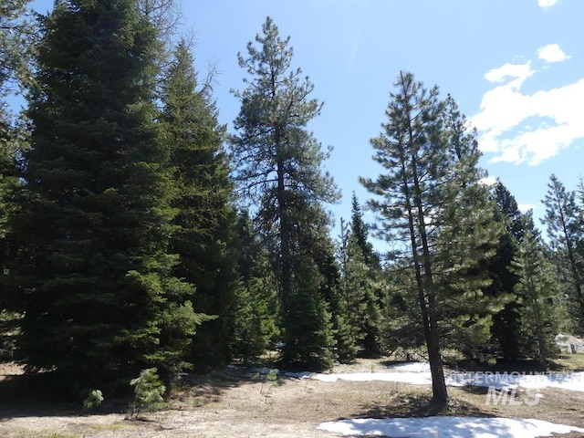 TBD Whitefield Ln, Mccall, ID 83638