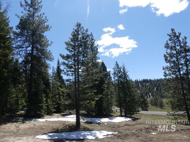 TBD Whitefield Ln, Mccall, ID 83638