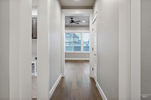 corridor featuring dark hardwood / wood-style floors