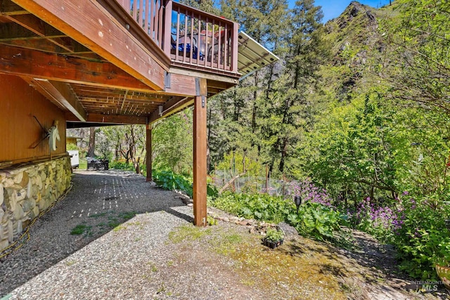 view of yard featuring a patio