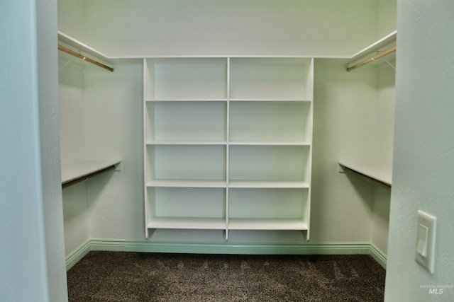 3349 E 4050 N, Twin Falls, ID 83301 - spacious closet featuring carpet flooring